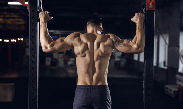 Read more about the article Praesent libro se cursus ante